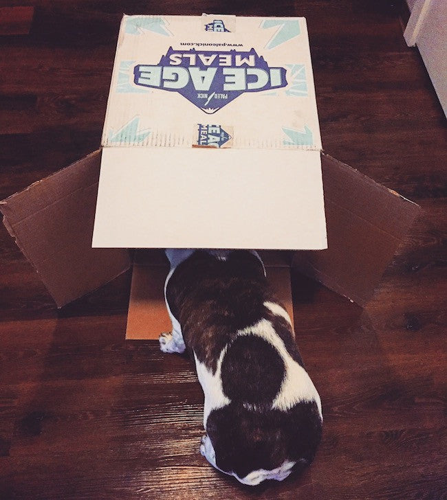 Ice Age Meals Corners the Market on Frozen Paleo Meals