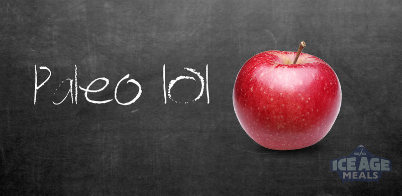ice-age-meals-the-paleo-diet-interpretation